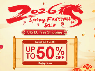 Spring Festival Sale